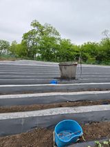 팜모닝 기타작물·영농일지 게시글 이미지