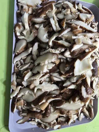 한상훈님의 버섯 · 영농일지 작성글 사진