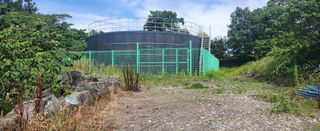 김형철님의 기타작물 · 영농일지 작성글 사진