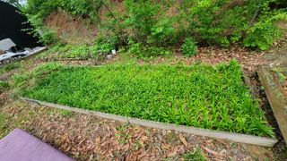 서초농원님의 기타작물 · 영농일지 작성글 사진