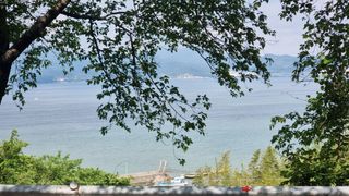 촌사리님의 들깨 · 영농일지 작성글 사진