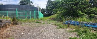 김형철님의 기타작물 · 영농일지 작성글 사진