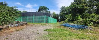 김형철님의 기타작물 · 영농일지 작성글 사진