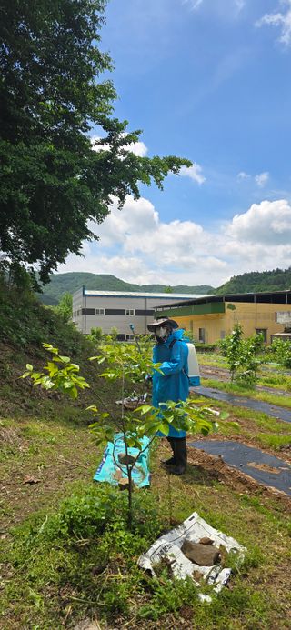 돌복숭아님의 기타작물 · 영농일지 작성글 사진