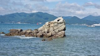 촌사리님의 들깨 · 영농일지 작성글 사진