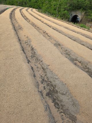 행운농부님의 기타작물 · 영농일지 작성글 사진