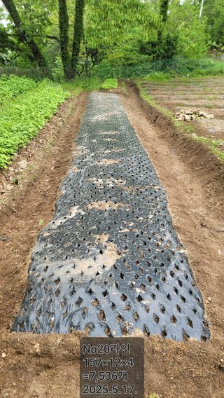 서초농원님의 기타작물 · 영농일지 작성글 사진