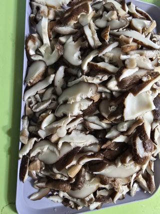 한상훈님의 버섯 · 영농일지 작성글 사진