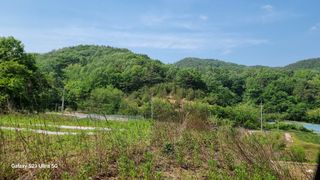 김금순자연산약초님의 기타작물 · 영농일지 작성글 사진