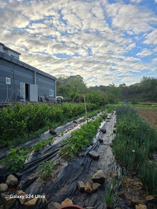 소병찬님의 기타작물 · 영농일지 작성글 사진