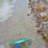 팜모닝 벼·영농일지 게시글 이미지