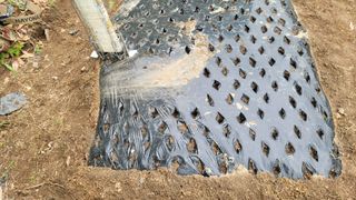 서초농원님의 기타작물 · 영농일지 작성글 사진