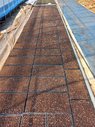 박린님의 참깨 · 영농일지 작성글 사진