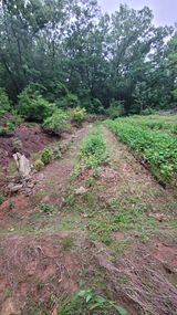 팜모닝 기타작물·영농일지 게시글 이미지