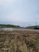 팜모닝 벼·영농일지 게시글 이미지