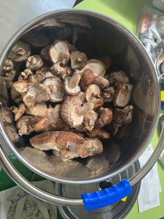 한상훈님의 버섯 · 영농일지 작성글 사진