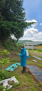 팜모닝 기타작물·영농일지 게시글 이미지