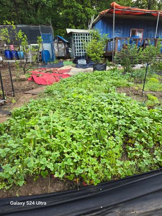 소병찬님의 기타작물 · 영농일지 작성글 사진