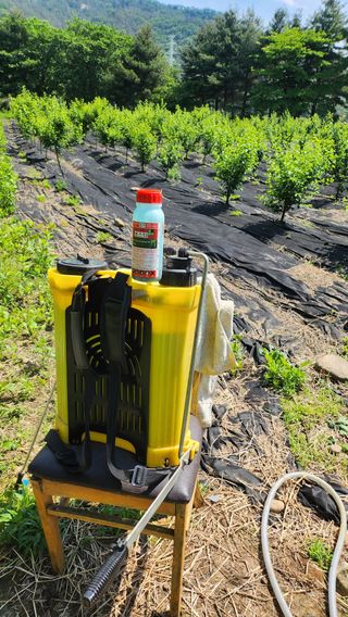 정헌경님의 기타작물 · 영농일지 작성글 사진