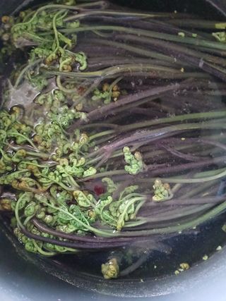 강지현님의 기타작물 · 영농일지 작성글 사진