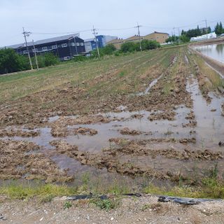 김광신님의 벼 · 영농일지 작성글 사진