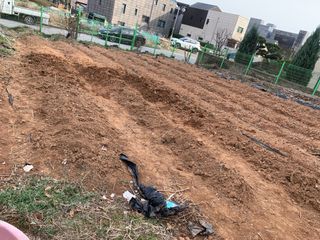 백용구님의 두릅 · 영농일지 작성글 사진