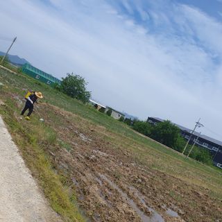 김광신님의 벼 · 영농일지 작성글 사진