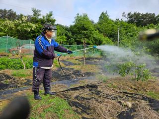 박상중님의 복숭아 · 영농일지 작성글 사진