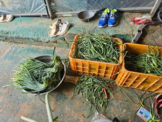 강선미님의 기타작물 · 영농일지 작성글 사진