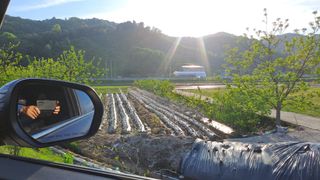 월굴리이승재님의 오이 · 영농일지 작성글 사진