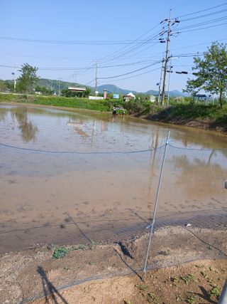 백영호님의 벼 · 영농일지 작성글 사진
