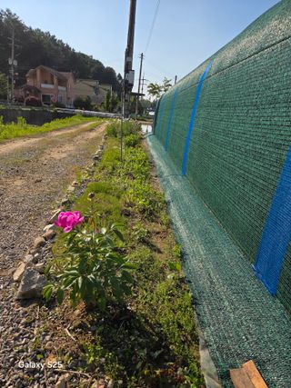 류승원님의 기타작물 · 영농일지 작성글 사진