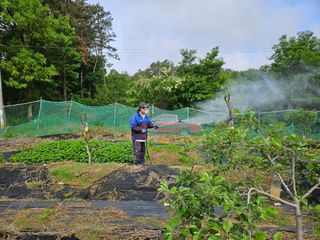 박상중님의 복숭아 · 영농일지 작성글 사진