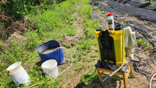 정헌경님의 기타작물 · 영농일지 작성글 사진