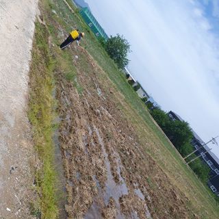 김광신님의 벼 · 영농일지 작성글 사진