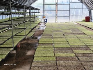 최갑수 님의 기타작물 · 영농일지 작성글 사진