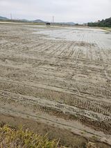 팜모닝 벼·영농일지 게시글 이미지