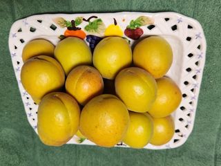 김육환님의 기타작물 · 영농일지 작성글 사진