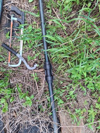 황인근님의 블루베리 · 영농일지 작성글 사진