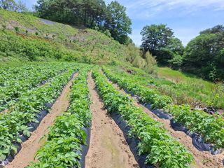 김광자님의 기타작물 · 영농일지 작성글 사진