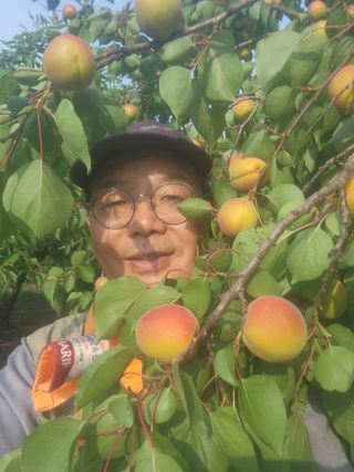 김육환님의 기타작물 · 영농일지 작성글 사진