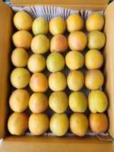 팜모닝 기타작물·영농일지 게시글 이미지