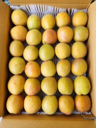 김육환님의 기타작물 · 영농일지 작성글 사진