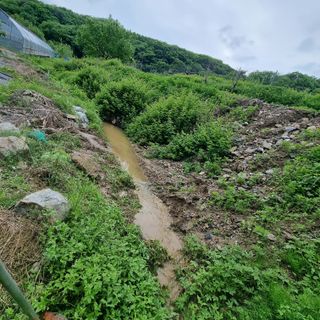 우묵골님의 고추 · 영농일지 작성글 사진