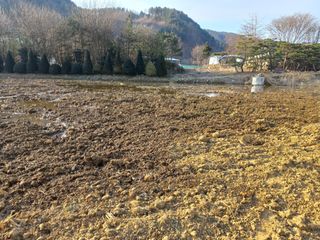 우렁논삼광심기님의 기타작물 · 영농일지 작성글 사진
