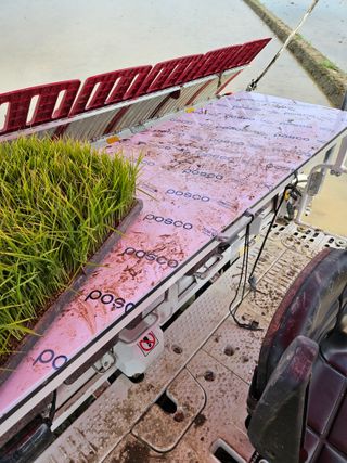 하이론님의 벼 · 영농일지 작성글 사진