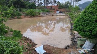 삼신령님의 벼 · 영농일지 작성글 사진
