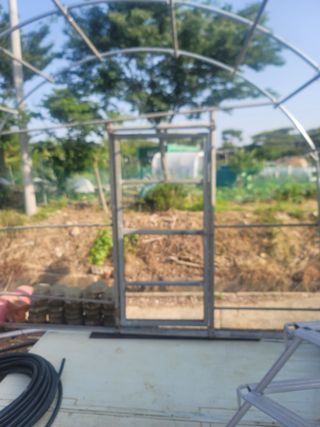 박치문님의 블루베리 · 영농일지 작성글 사진