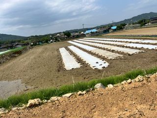 김흥남님의 벼 · 영농일지 작성글 사진