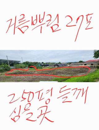 강동신님의 들깨 · 영농일지 작성글 사진